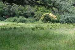 IMG_2536web