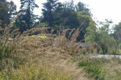 IMG_3263web